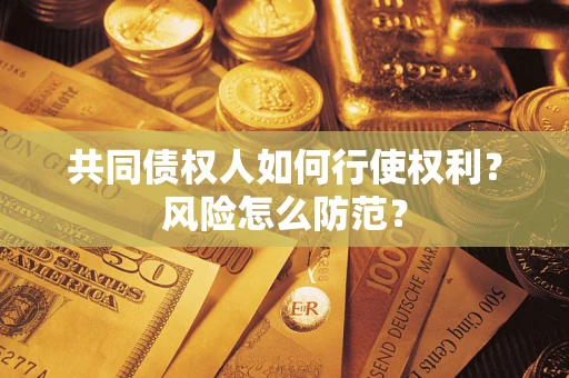 北京共同债权人如何行使权利？风险怎么防范？