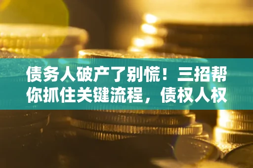 北京债务人破产了别慌！三招帮你抓住关键流程，债权人权益不再缩水
