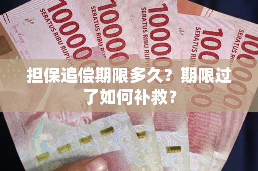 北京担保追偿期限多久？期限过了如何补救？
